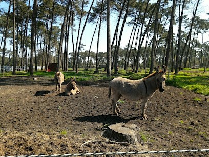 S.a.s Equestrian Center De Pessac Romainville, Centre Equestres à Pessac