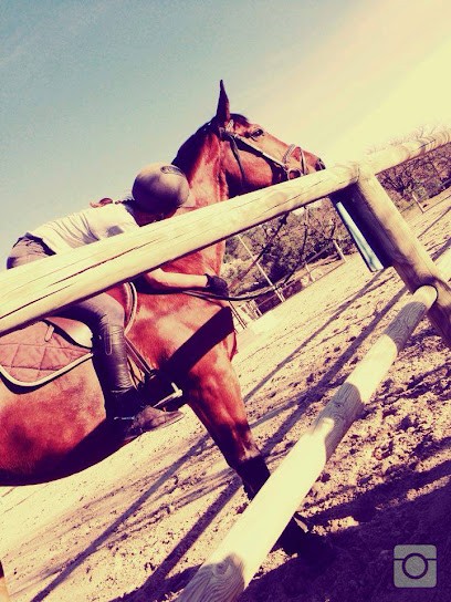 Les Écuries SIR'C, Centre Equestres à Notre-Dame-de-Londres