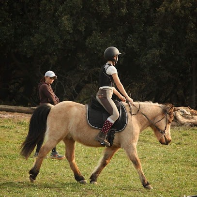 Christelle Poncié Monitrice / Coach D'équitation DEJEPS - Dressage/Saut Tous Niveaux, Centre Equestres à Saint-Paul-Trois-Châteaux