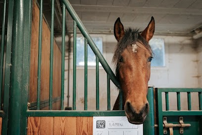 Equestrian Center De Vienne Le Couzon, Centre Equestres à Vienne