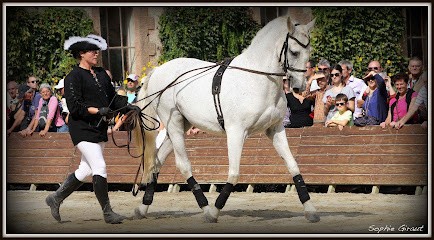Écurie Des Libelles, Centre Equestres à Langonnet