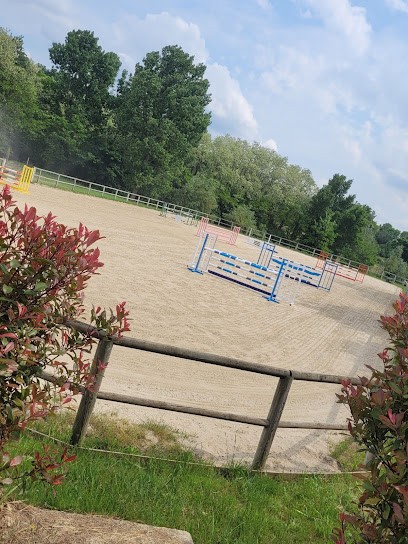 Ecurie de la Tirolandière, Pension pour Chevaux aux Côtes-d'Arey
