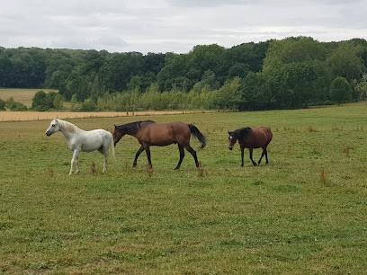 Écuries Des Chênes, Centre Equestres à Mézy-sur-Seine