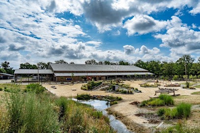 Terres Alezanes, Centre Equestres à Sainte-Anne-sur-Brivet