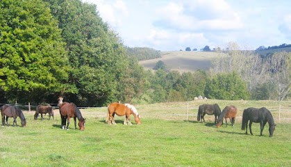 L'ondée, Centre Equestres à Saint-Martin-d'Estréaux