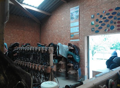 PONEY CLUB DE LA TOUCHE BOUILLIE, Centre Equestres à Saint-Aubin-d'Aubigné