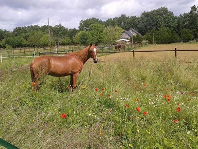 La Petite Vallée, Pension pour Chevaux à Athée-sur-Cher
