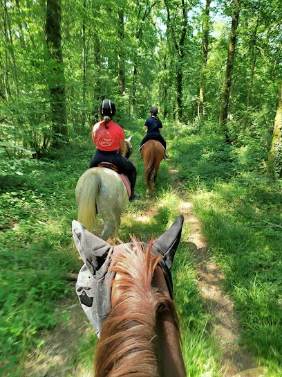 Livestock & Stables Dorlay, Centre Equestres à La Boissière-en-Gâtine