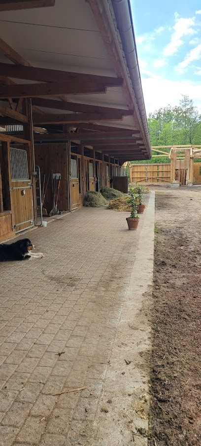Les Cavaliers Du Seelberg, Centre Equestres à Ingwiller