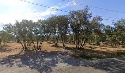 Chevry Fabienne, Centre Equestres à Sauve
