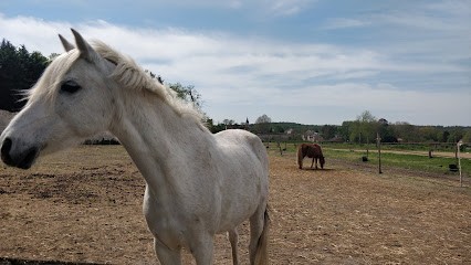 Equestrian Center De Coye-La-Foret, Centre Equestres à Coye-la-Forêt