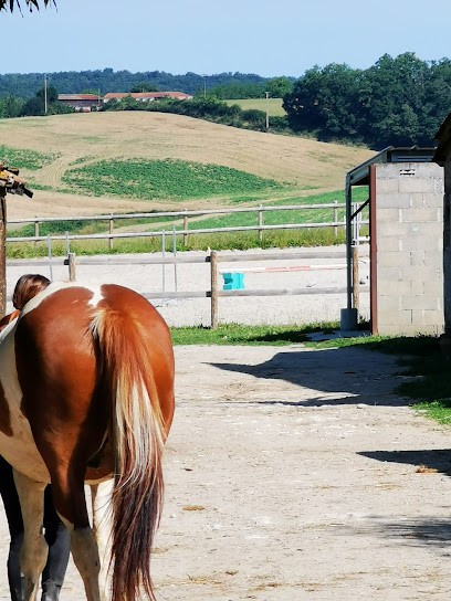 Equestrian Center De Gabaurias, Centre Equestres à Mauvezin-sur-Gupie