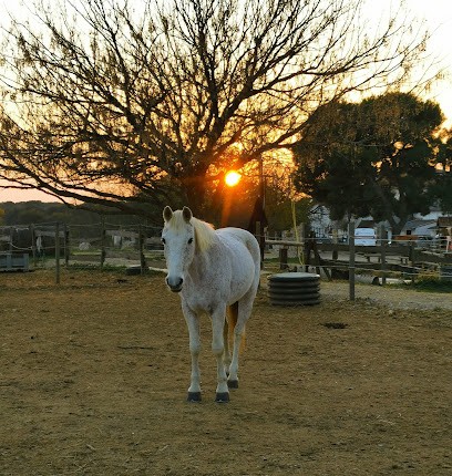 Equestrian Center Saint Bruno, Centre Equestres à Servian