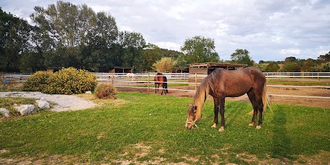 LES ECURIES DE LA COLOMBE, Centre Equestres à Lunel
