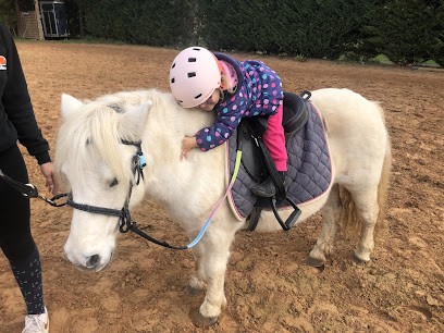 Les poneys de Louise, Centre Equestres à Hérépian