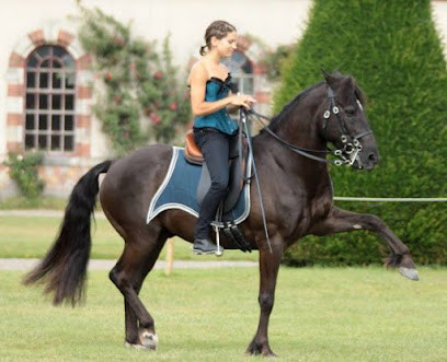 Les Ecuries De Clochette, Pension pour Chevaux à Chazé-sur-Argos