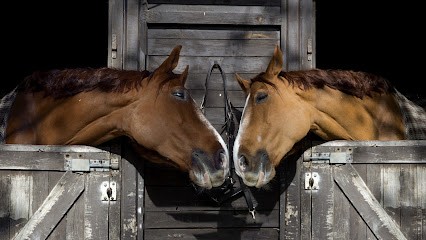 Ecole D Equitation Du Lac Bleu, Centre Equestres à Léognan