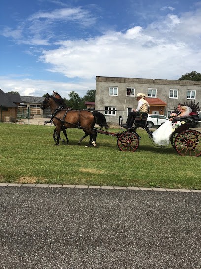 Clauss Camille, Centre Equestres à Stundwiller