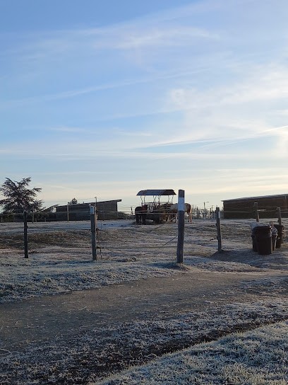 FERME EQUESTRE SESAME SERVICES, Centre Equestres au Pellerin