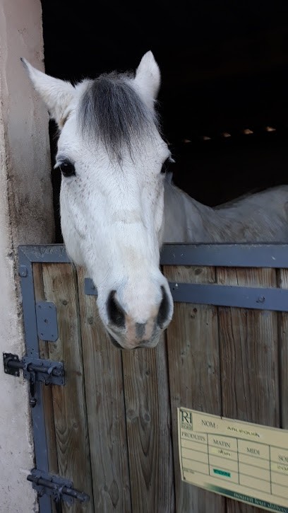 EARL ETRIER DU MARAIS, Centre Equestres à Malintrat
