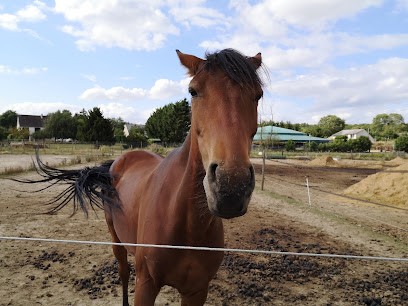 Centre Equestre Des Molières, Centre Equestres aux Molières