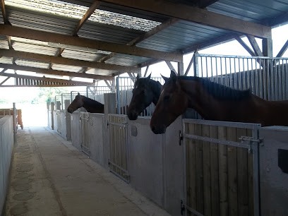 CENTRE EQUESTRE LE BOIS GERARD, Centre Equestres à Rannée