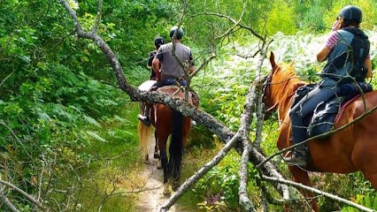 Cheval Nature, Centre Equestres au Tartre-Gaudran