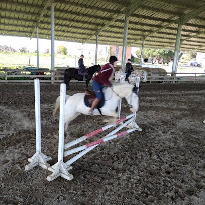 La Ballarade, Centre Equestres à Lacépède