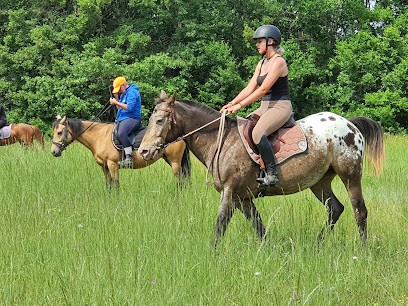 Equi'tao, Centre Equestres à Saint-Mard