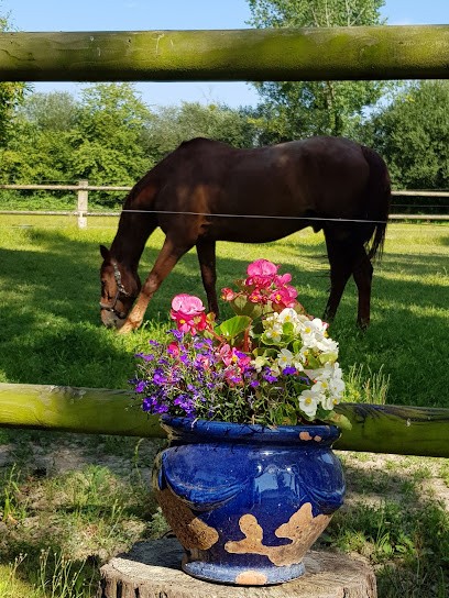 Ecurie Nilgirick Equitation, Centre Equestres à Genneville