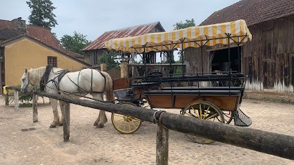 Périgord In Carriage, Centre Equestres à Mazeyrolles