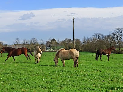 Ecurie Du Bio Virage, Pension pour Chevaux à Avessac
