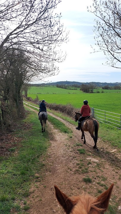 Ecurie des Grands Causses, Centre Equestres à Sévérac d'Aveyron