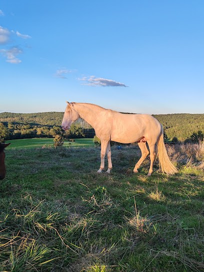 EqUus'Sens, Pension pour Chevaux à Ganties