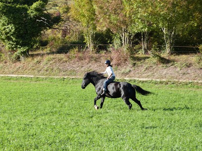 Éducation Éthologique, Centre Equestres à Grane