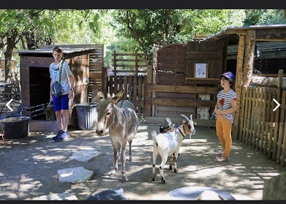 To Ponies De Delphine, Centre Equestres à Villeneuve-lès-Avignon