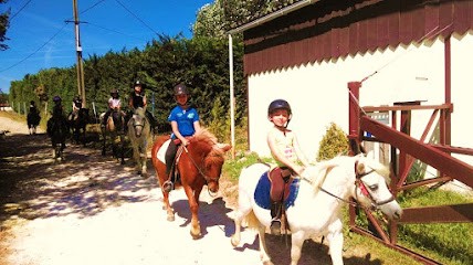 Ecuries De Subileau, Centre Equestres à Saint-Martin-de-Laye