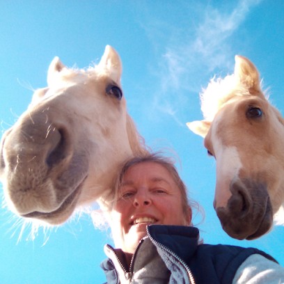 Equestrian Center Le Domaine D'epona, Centre Equestres à L'Aiguillon-sur-Vie