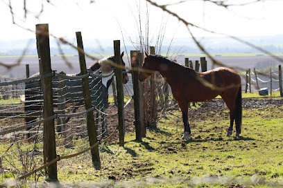 Les Écuries Du Bout Du Bois, Centre Equestres à Neufvy-sur-Aronde