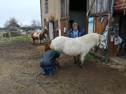 Navarre Jean Claude, Centre Equestres à Devay