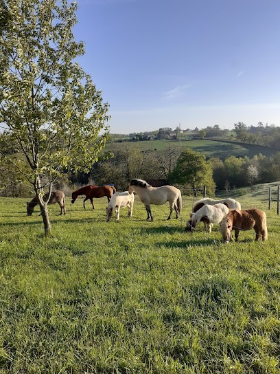 Calmette Étape Équestre, Centre Equestres aux Albres
