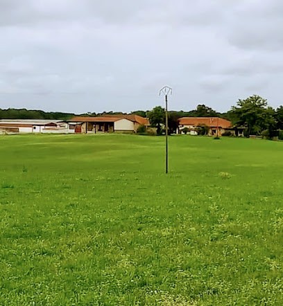Les Écuries Du Mont - Poney Club, Centre Equestres à Lescheroux