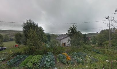 Faure Danielle Ballades a cheval, Centre Equestres à Montselgues