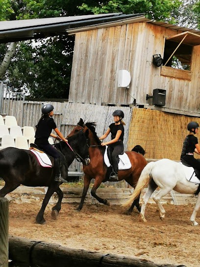 RANCH DES MARAIS, Centre Equestres à Noves