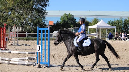 EARL GUILLAUMEE JP ECURIES LALYE, Centre Equestres à Guindrecourt-sur-Blaise