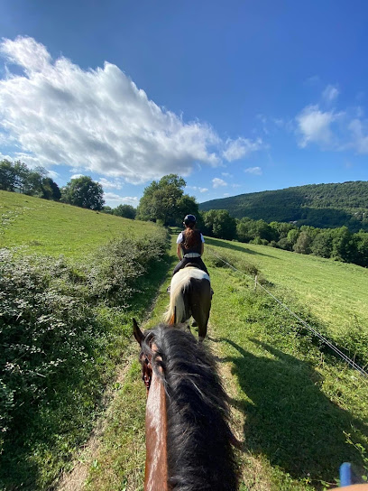 Ecurie Des Cascades, Pension Pour Chevaux à Roquefort-les-Cascades