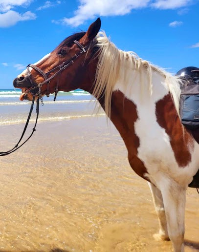 En Selle, Centre Equestres à Helleville