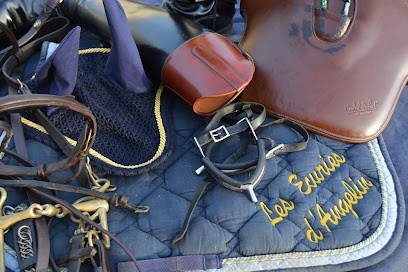 Les Ecuries D'angelin, Centre Equestres au Chambon-Feugerolles