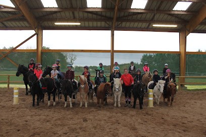 CENTRE EQUESTRE DE MEREAU, Centre Equestres à Méreau