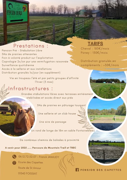 Eirl F. Janaudy - Écurie Des Capettes Pension Pour Chevaux à Foissiat